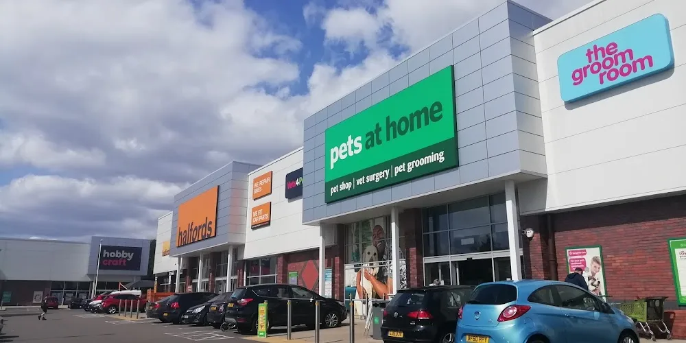 large rugs for living room Pets at Home Solihull