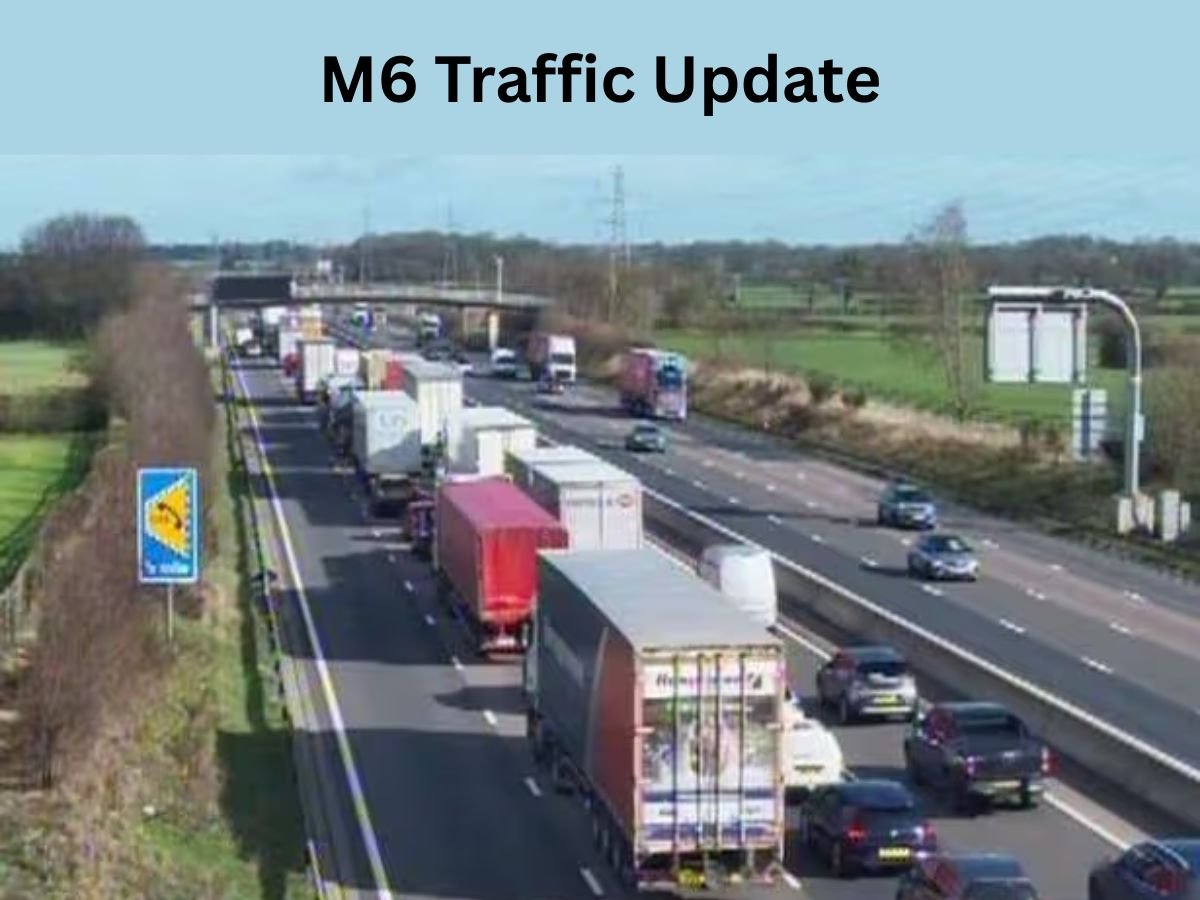 large rugs for living room M6 Traffic Accident Today Southbound